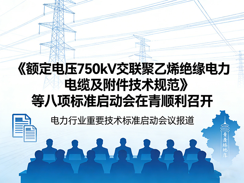 《额定电压750kV交联聚乙烯绝缘电力电缆及附件技术规范》等八项标准启动会在青顺利召开